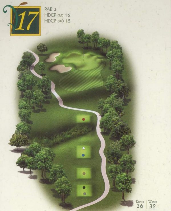 Hole #17 | 201 yards | Par 3